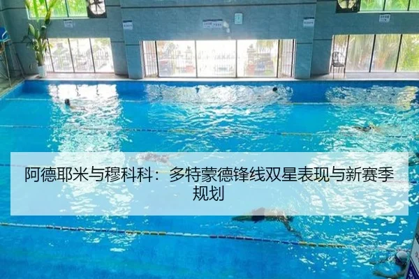 阿德耶米与穆科科：多特蒙德锋线双星表现与新赛季规划